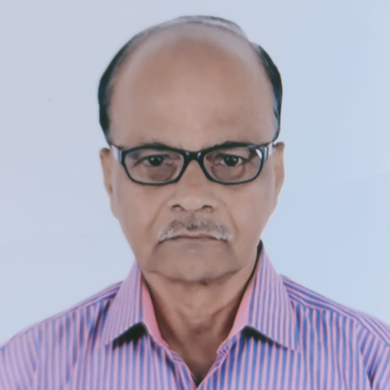 Krishna Kumar P
